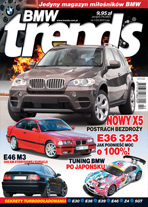 vw_styczen2010.jpg