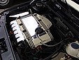 DSC04228.jpg