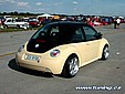 beetle_1.jpg