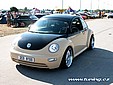 beetle.jpg