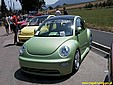 beetle_3.jpg