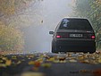 Img_8648_s.jpg