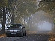 Img_8689_s.jpg