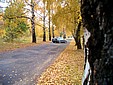 HPIM8452.jpg