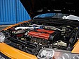 DSC00310.jpg