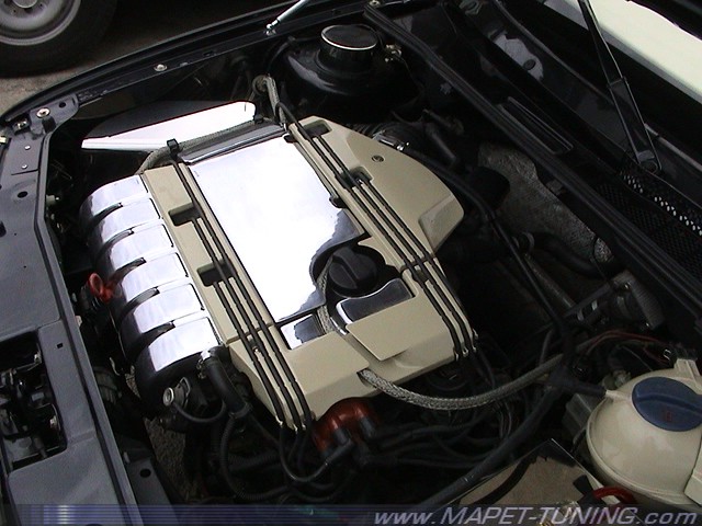 DSC04228.jpg