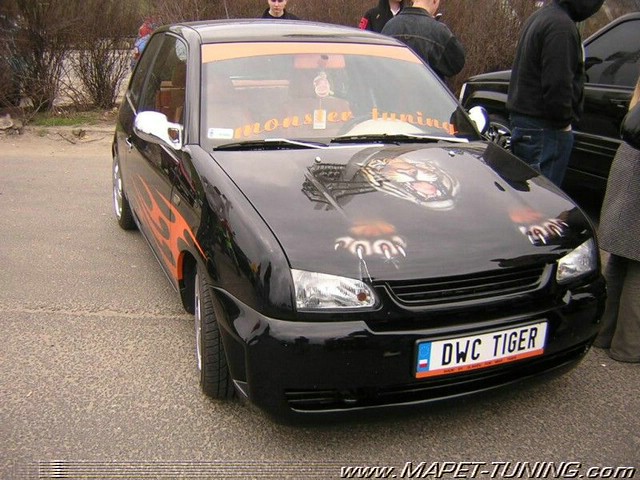 245.jpg