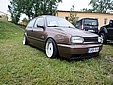 DSC01037.JPG
