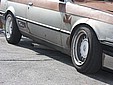 IMG_5309.jpg