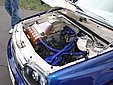 IMG_3786.jpg