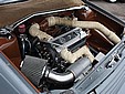 IMG_3817.jpg