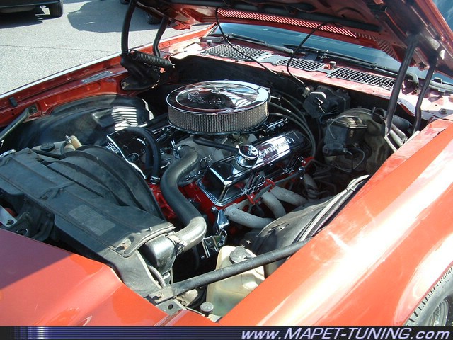 DSCF0130.JPG