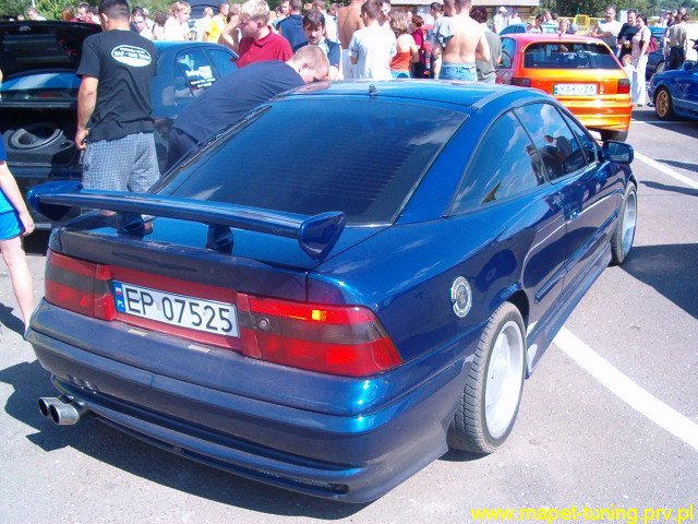 calibra1.jpg