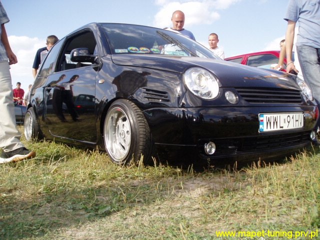 lupo1.jpg
