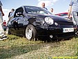 lupo1.jpg