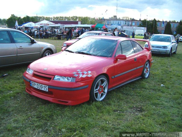 calibra.jpg