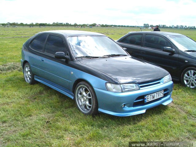 corolla_1.jpg