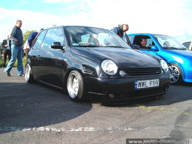 lupo.jpg
