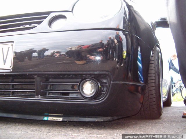 lupo_2.jpg