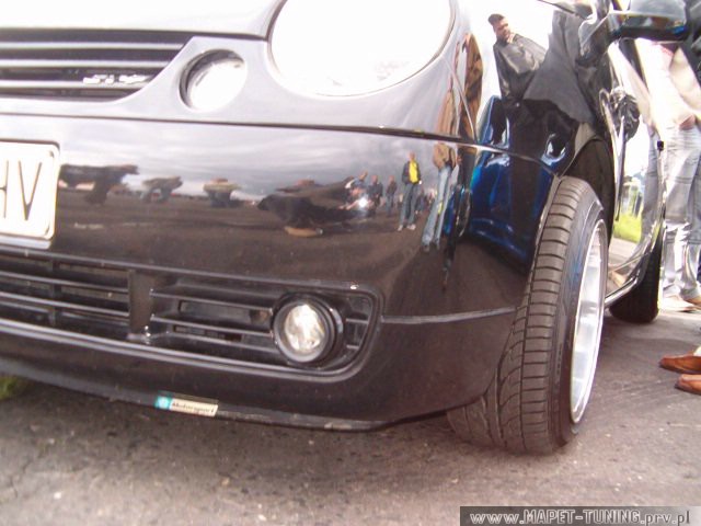 lupo_3.jpg