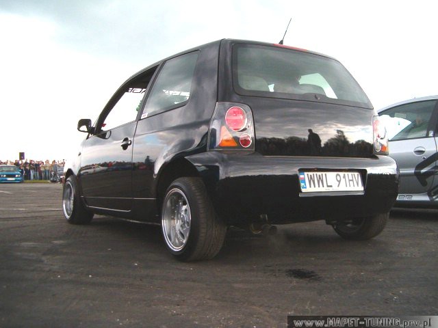 lupo_4.jpg