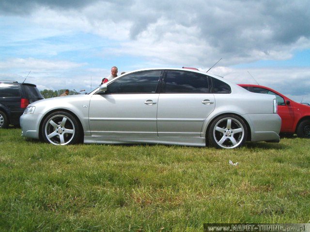 passat_2.jpg