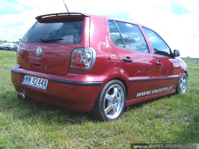 polo_wisnia.jpg