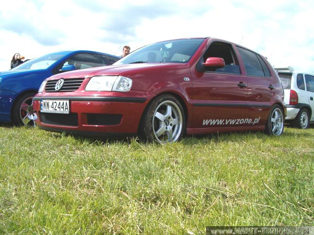 polo_wisnia_1.jpg