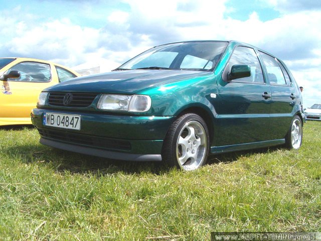 polo_zielone.jpg