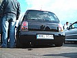 lupo_1.jpg