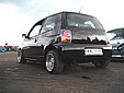 lupo_4.jpg