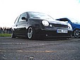 lupo_5.jpg
