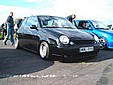 lupo.jpg