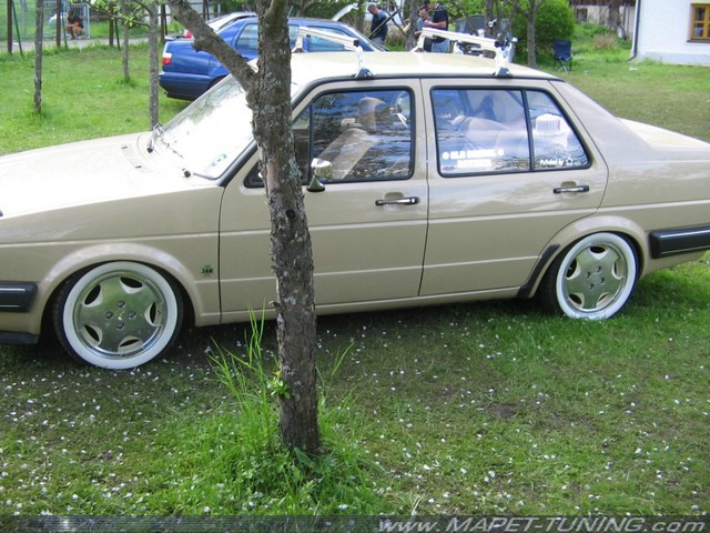 108_-_Jetta.jpg