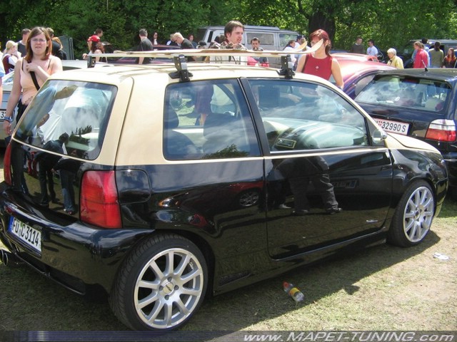 175_-_Lupo.jpg